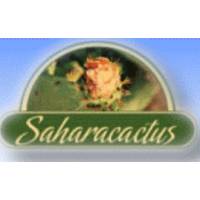 SaharaCactus